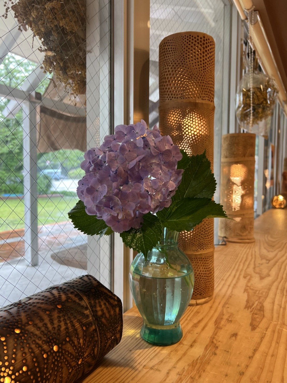 紫陽花と竹灯籠