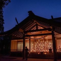 宮崎神宮　儀式殿にて竹灯籠を飾らせていただきました